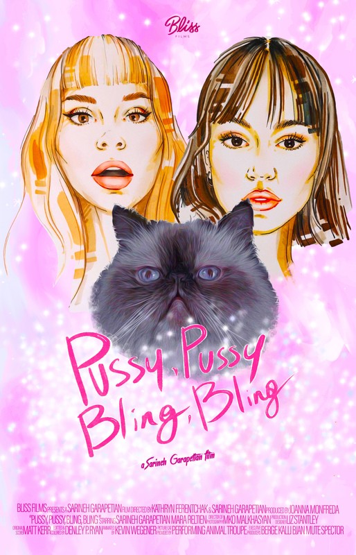 Pussy, Pussy, Bling, Bling Poster