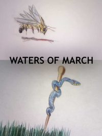 poster_WATERS_OF_MARCH